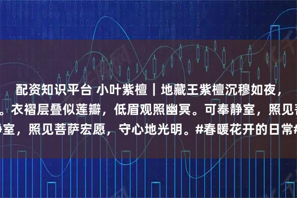 配资知识平台 小叶紫檀｜地藏王紫檀沉穆如夜，地藏结跏趺坐于须弥座。衣褶层叠似莲瓣，低眉观照幽冥。可奉静室，照见菩萨宏愿，守心地光明。#春暖花开的日常# #地藏王菩萨#